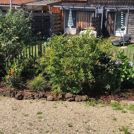 Les Logis D'Argent Studio Independant Parking Entree Autonome Linge De Lit Et Serviettes Wifi Fibre Tv Connectee Mimizan-Plage Dış mekan fotoğraf