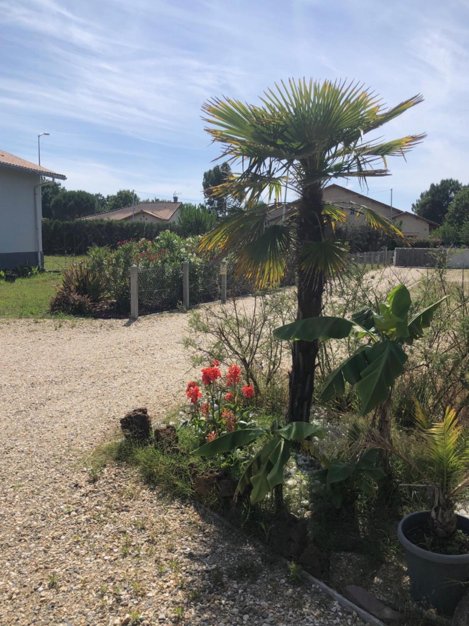 Les Logis D'Argent Studio Independant Parking Entree Autonome Linge De Lit Et Serviettes Wifi Fibre Tv Connectee Mimizan-Plage Dış mekan fotoğraf